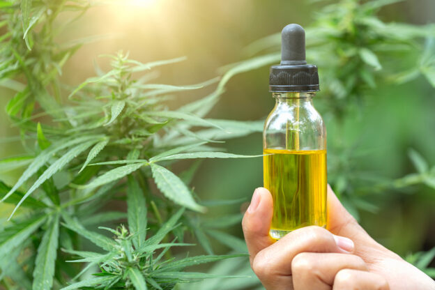 Manfaat Ganja Yang Baik Sehinga Patut Di Legalisasikan